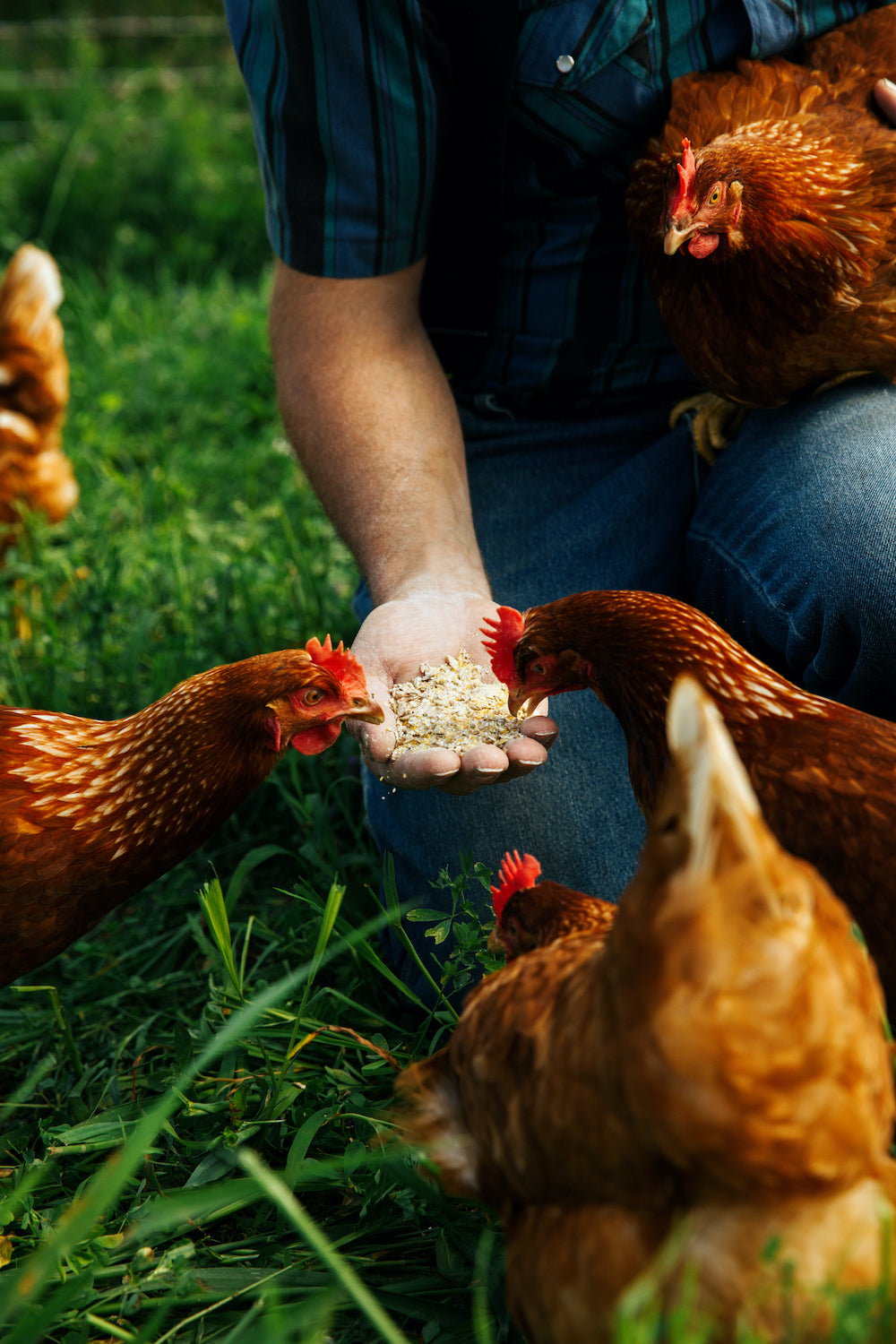 “Organic” Isn’t Always What You Think it Is