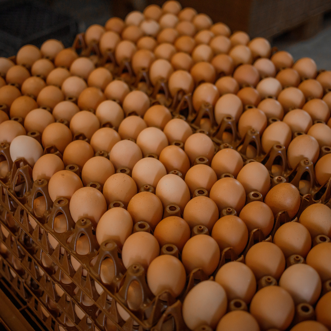 Handsome Brook Farms Supports Georgia Mountain Food Bank Amid Growing Need