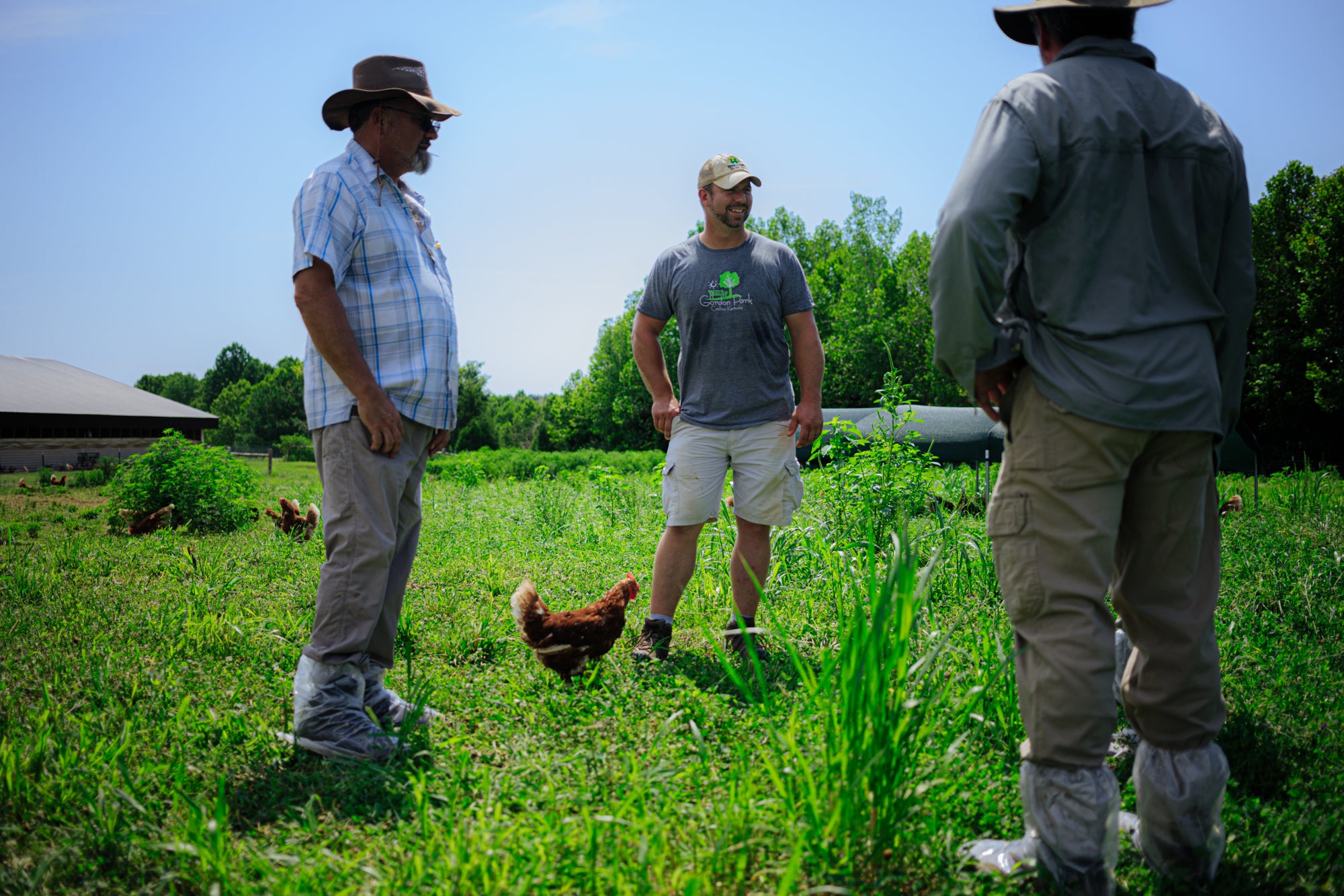 Transforming Landscapes Through Regenerative Agriculture