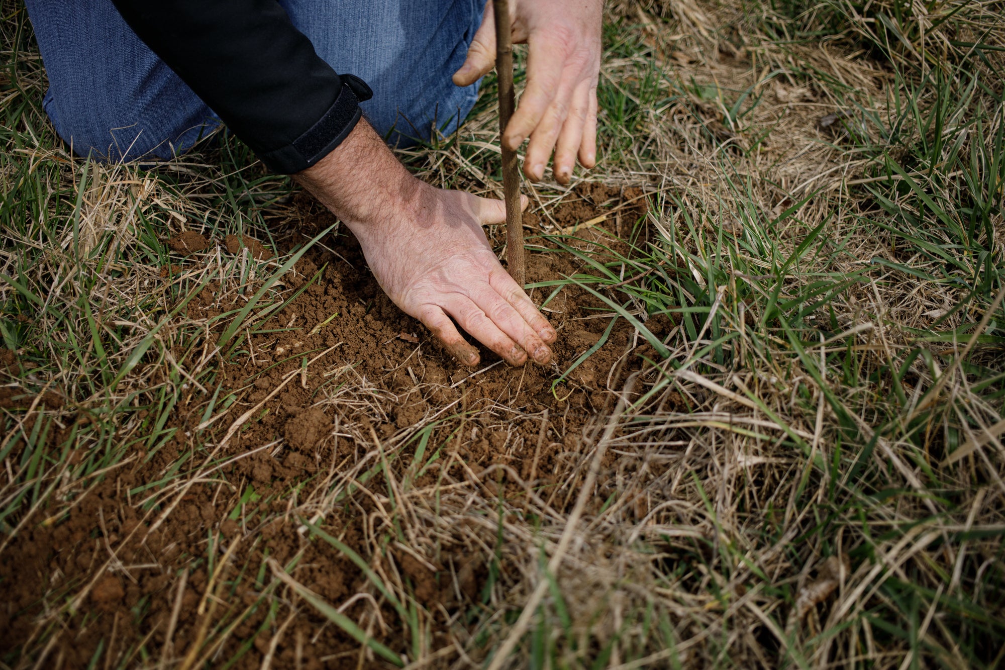 Farming Climate Smart Organic Eggs in the Appalachian Foothills