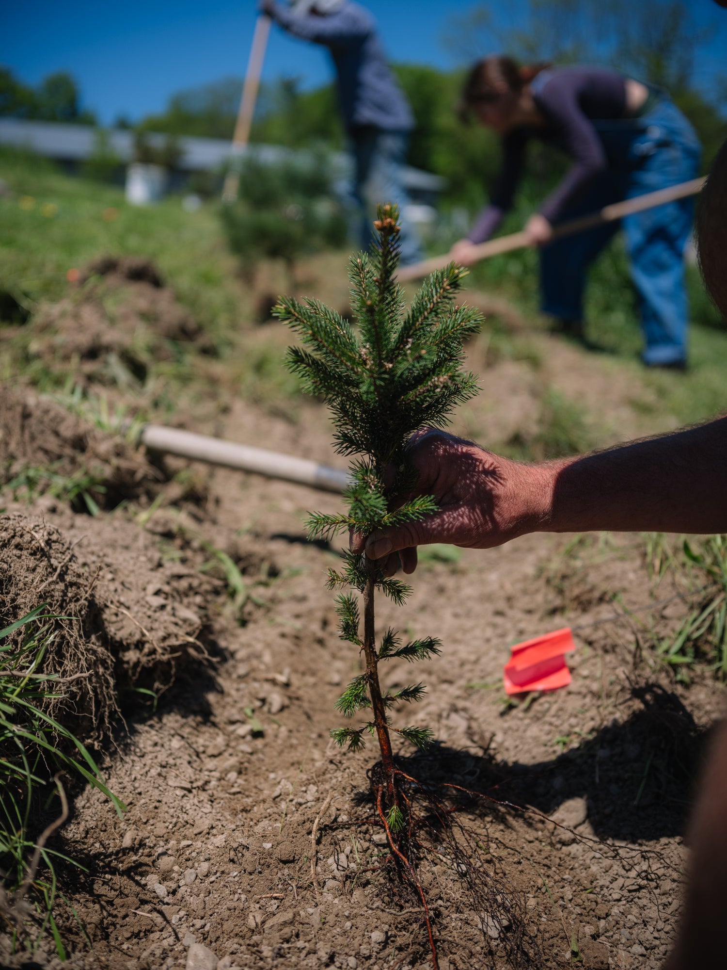 Handsome Brook Farms' Commitment to Climate Smart Farming on Earth Day