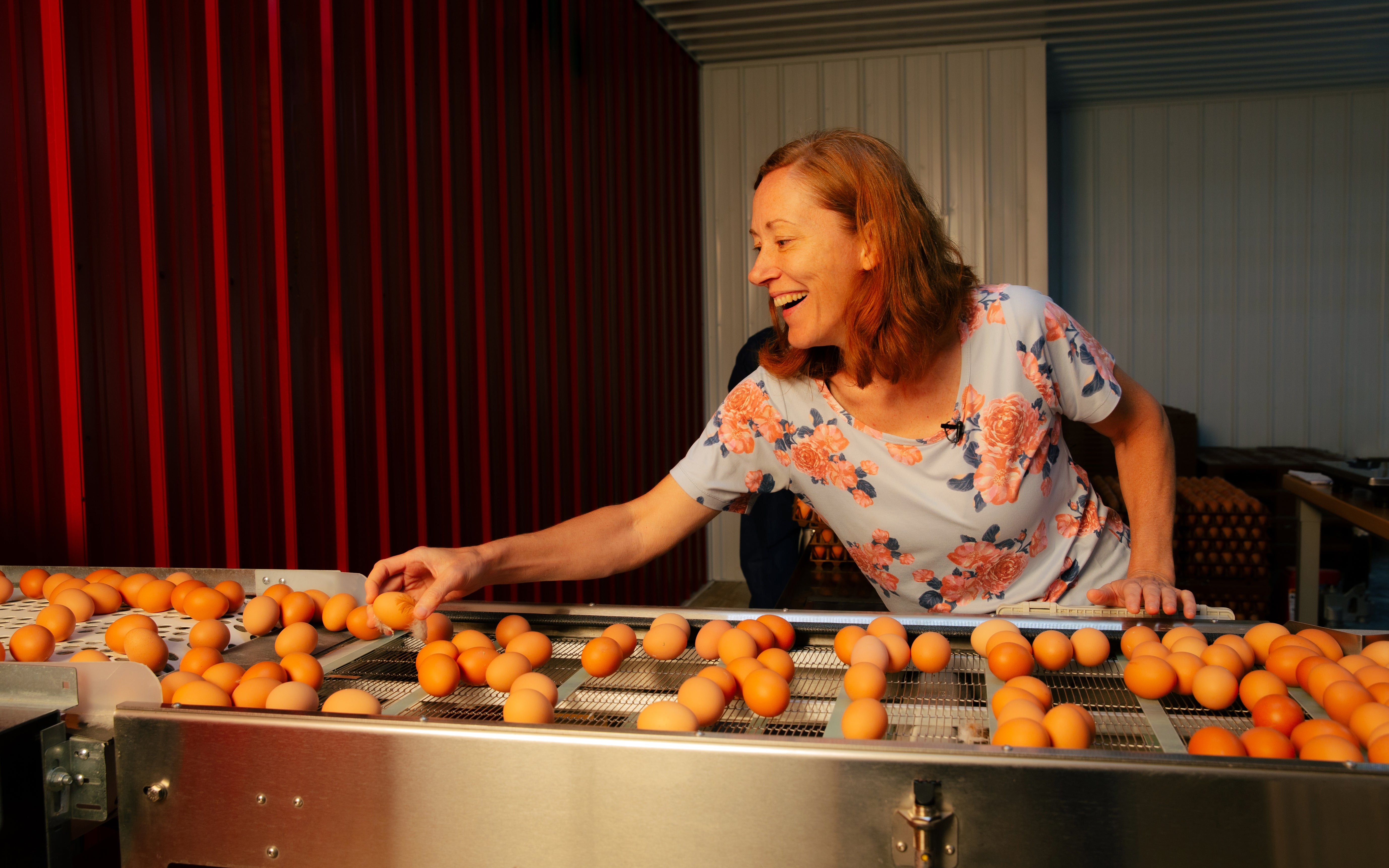farmer sorting eggs