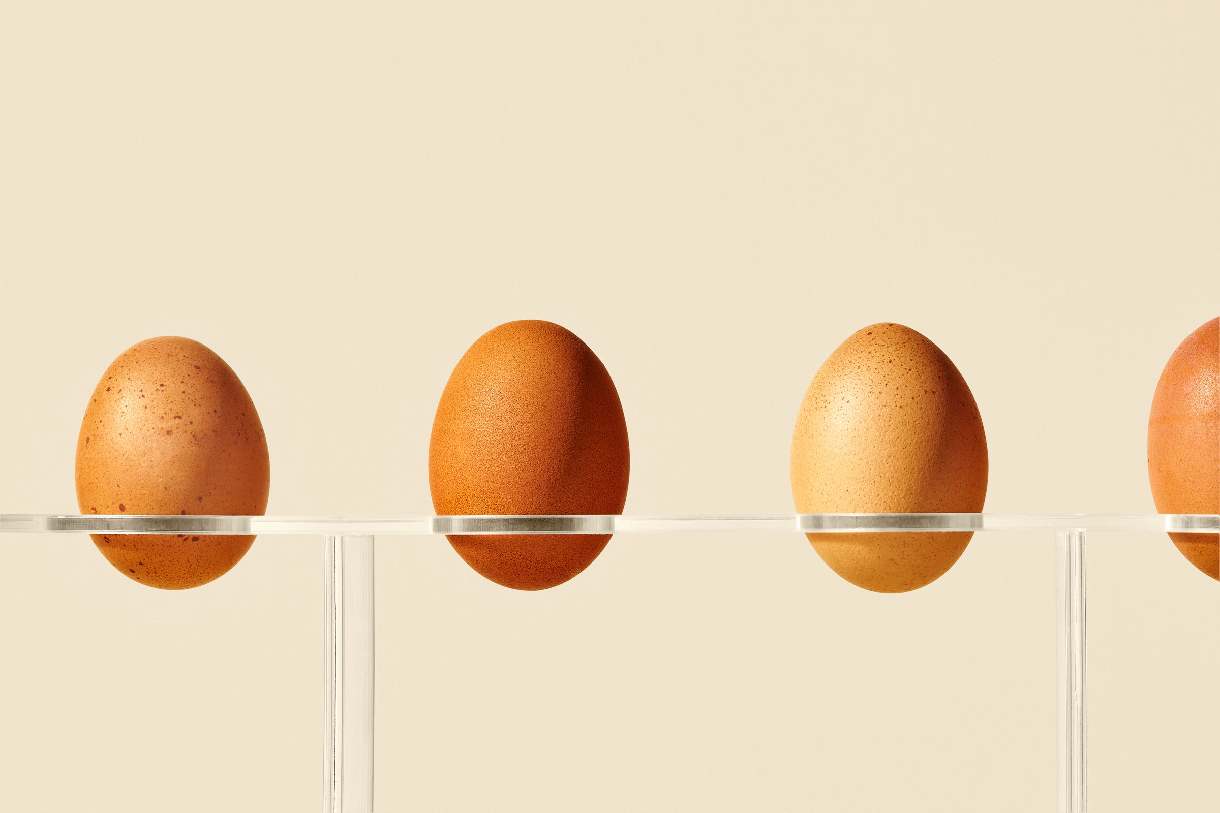 What Egg Color Means (and Doesn’t)