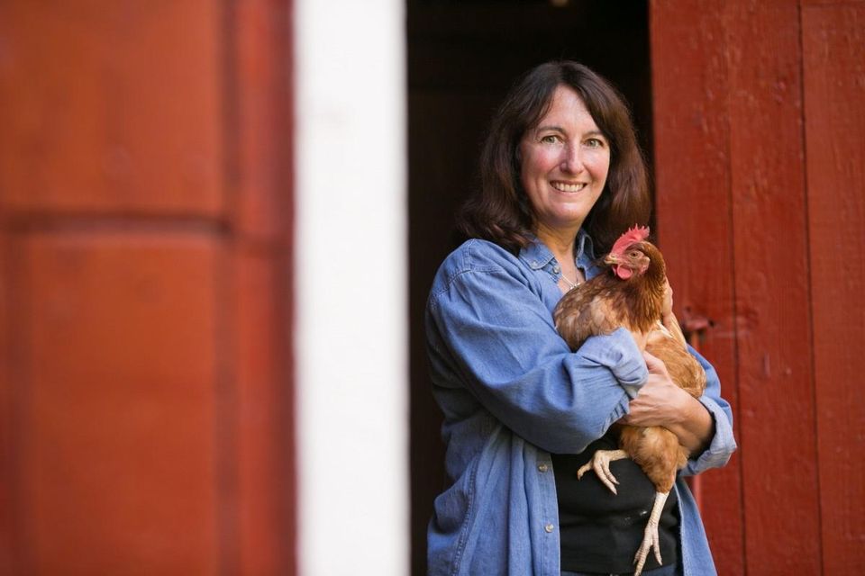 Starting Handsome Brook Farm, A 'Pasture-Raised' Egg Business, Helped Betsy Babcock Recover From A Devastating Loss